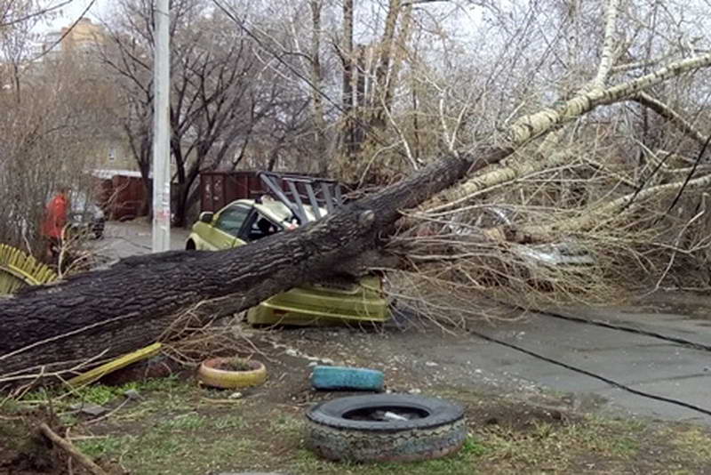 Фото Ольги Ивановой (ИА "ИркСиб").