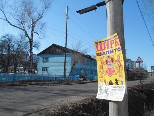 Цирк уехал, афиши останутся надолго. Пока их не истребит природа.